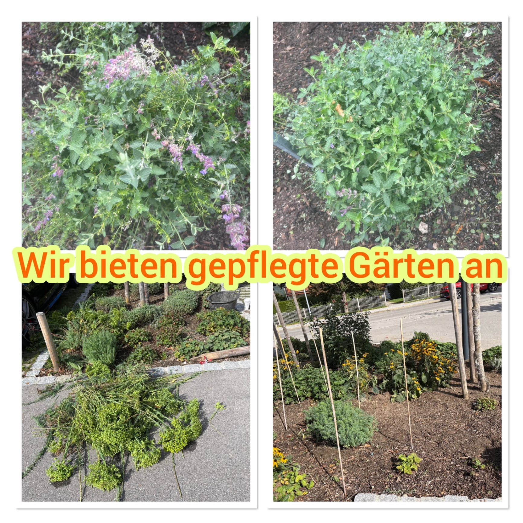 Wir bieten gepflegte Gärten an